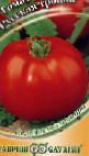 Foto Tomaten klasse Russkaya Trojjka