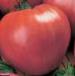 Foto Los tomates variedad Rozovyjj Spam F1