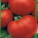 Foto Los tomates variedad Khali-Gali F1