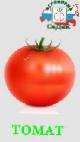 Foto Tomaten klasse Barin F1