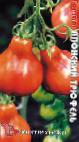 Foto Tomaten klasse Yaponskijj tryufel Krasnyjj
