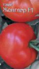 kuva tomaatit laji Zhongler F1