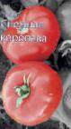 Foto Tomaten klasse Snezhnaya koroleva