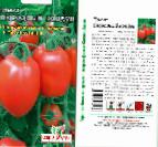 Foto Tomaten klasse Ogorodnyjj koldun