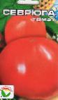 Photo des tomates l'espèce Sevryuga