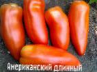 Foto Tomaten klasse Amerikanskijj dlinnyjj