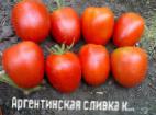 Fil Tomater sort Argentinskaya slivka krasnaya 
