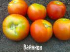 foto I pomodori la cultivar Vajjnmon plyus 