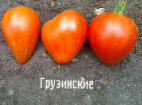 Foto Los tomates variedad Gruzinskie 