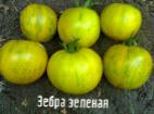 Foto Los tomates variedad Zebra zeljonaya