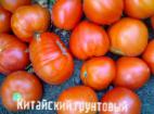 Photo des tomates l'espèce Kitajjskijj gruntovyjj 