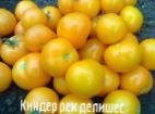 Photo Tomatoes grade Kinder rek delishes 