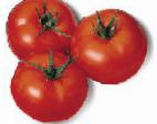 Foto Tomaten klasse Amiela 