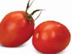 Photo Tomatoes grade Shanti F1