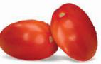 Foto Tomaten klasse Kalista 