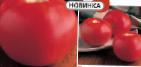 Photo Tomatoes grade Kalisti F1