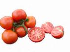 Foto Tomaten klasse Aksioma F1