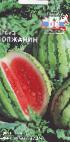 Photo Watermelon grade Volzhanin