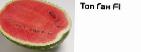 Photo Watermelon grade Top Gan F1
