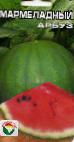 Photo Watermelon grade Marmeladnyjj