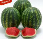 Photo Watermelon grade Krispid F1