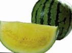 Photo Watermelon grade Triton F1 (bessemyannyjj)