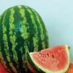 Photo Watermelon grade Krimson Sprint F1