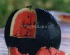 Photo Watermelon grade Olginskijj 