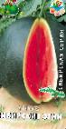 Photo Watermelon grade Sibirskie ogni