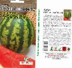 Photo Watermelon grade SRD-2 Dyutina 