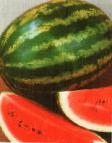 Foto Wassermelone klasse AU-Prodyuser PVP