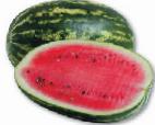 Foto Wassermelone klasse Dumara F1