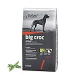 GOLOSI DOG - BIG CROC MAXI 12 Kilogramm crocchette per cani di taglia grande foto, nuovo 2024, miglior prezzo EUR 29,25 recensione