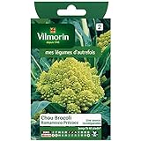 Vilmorin - Cavolo Broccolo Romanesco precoce foto, nuovo 2024, miglior prezzo  recensione