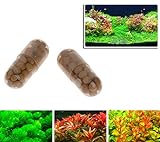 Xuniu 40 Pezzi radice acquatica vegetale radice Fertilizzante Acquario Serbatoio di Pesce Serbatoio cilindrico foto, nuovo 2024, miglior prezzo EUR 9,06 recensione