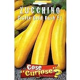 Vivai Le Georgiche Zucchino Giallo Gold Rush F1 (Semente) foto, nuovo 2024, miglior prezzo EUR 6,50 recensione