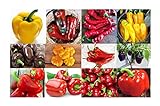 Harley Seeds This is A Mix!!! 30+ Sweet Pepper Mix Seeds, 12 Varieties Heirloom Non-GMO, Pimento, Purple Beauty, from USA, green Photo, new 2024, best price $5.49 ($2.74 / Gram) review