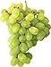foto Pinkdose 30seds / bag seme fertilizzante frutto di semi d'uva frutta balcone in vaso 5: 2 recensione