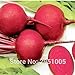 foto Pinkdose 8 grammi di barbabietola rossa, verdura, cortile balcone in vaso giardino di casa spedizione gratuita recensione