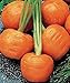 foto SEMI PLAT firm-100pcs / bag parigino semi di carota non OGM Vegetable Seeds cucina Assisted Nutrizione Outdoor Vaso da fiori per il giardino domestico recensione