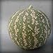 foto AGROBITS 10 semi/pack 12 generi Rare semi di anguria cinesi per scegliere dolce & amp; succo molto gustoso facile crescita Climbing Creeper BonsaÃ¯Pianta: A12 recensione