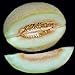 foto Portal Cool 10 - Semi: semi di melone Charlynne - Molto dolce, cremoso e aromatico, morbido e succoso. !!!! recensione
