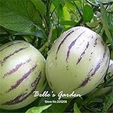 Semi 20pcs Pepino Semi pepino melone pera giardino domestico di DIY BonsaïPianta foto, nuovo 2024, miglior prezzo EUR 10,99 recensione
