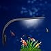 foto Luce LED acquario UEETEK Lampada clip per acquario luminoso con luce bianca recensione
