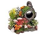 Nobby casco con piante acquario decorativo, 13.5 x 11 x 12 cm foto, nuovo 2024, miglior prezzo EUR 11,98 recensione