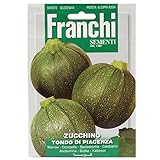 Seeds of Italy Ltd-sementi da piante da frutto, zucchine) foto, nuovo 2024, miglior prezzo EUR 2,61 recensione