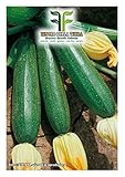 40 C.ca Semi Zucchino Ambassador Hybrid - Cucurbita Pepo In Confezione Originale Prodotto in Italia - Zucchine foto, nuovo 2024, miglior prezzo EUR 7,40 recensione