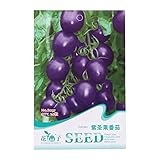 Kofun viola pomodoro verdure semi bella e Vivid Flower verdure piantare semi 20 pezzi/1 borsa, Purple Tomato, 1 Bag foto, nuovo 2024, miglior prezzo EUR 3,44 recensione