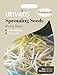 foto Unwins Pictorial pacco – germinazione semi di fagioli – 600 semi recensione
