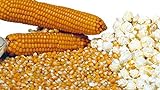 Semi Di Mais Da Pop Corn 50g foto, nuovo 2024, miglior prezzo EUR 4,40 recensione